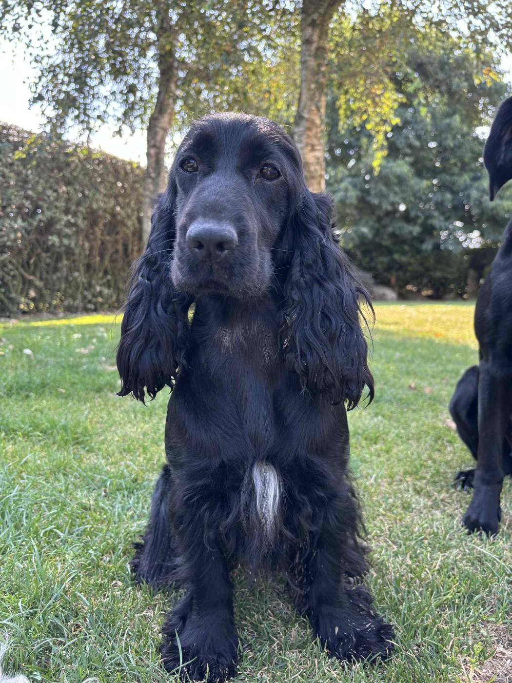 Van's De La Côte Des Légendes