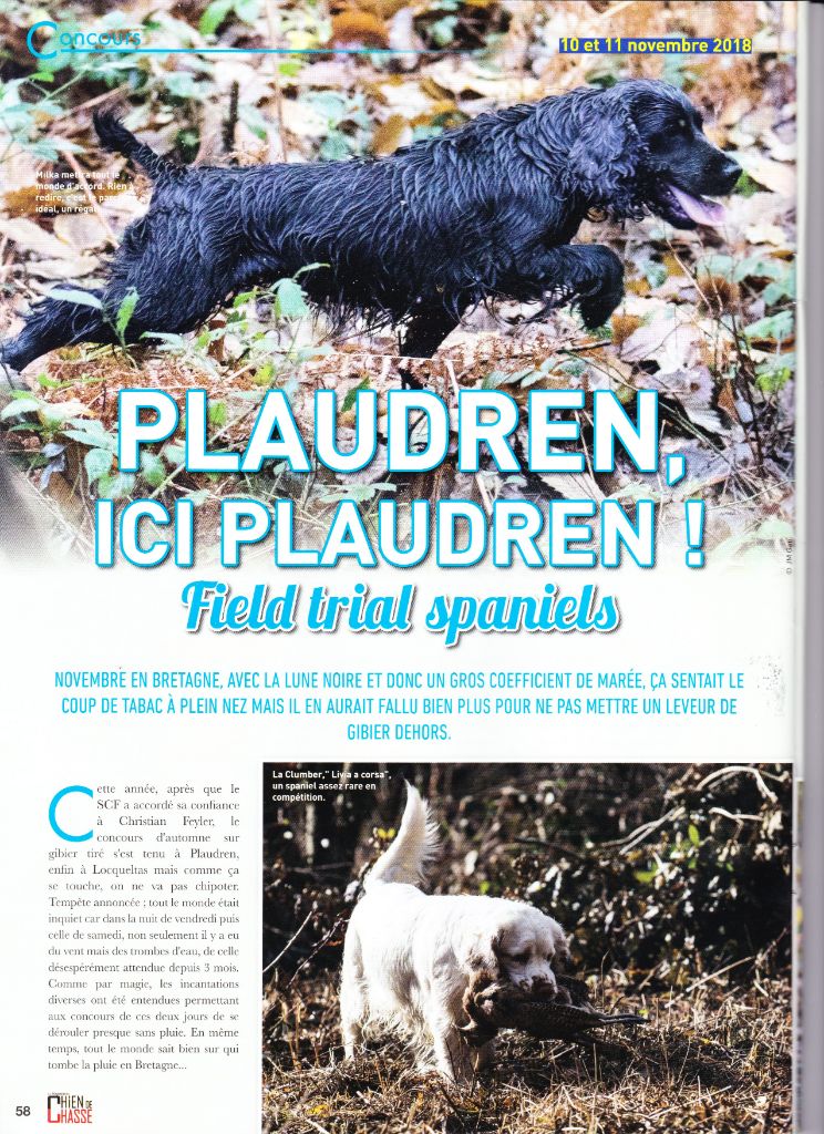 De La Côte Des Légendes - Milka à la Une du magazine Chiens de Chasse