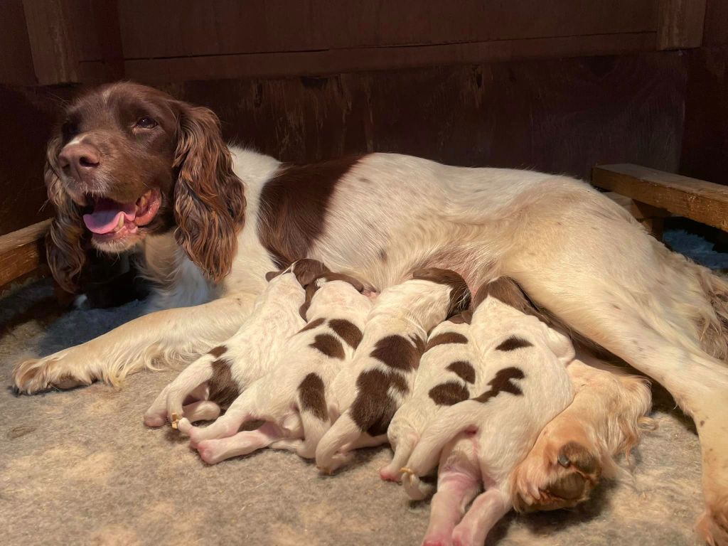 Les bébés sont nés